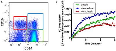 Deficits in Monocyte Function in Age Related Macular Degeneration: A Novel Systemic Change Associated With the Disease